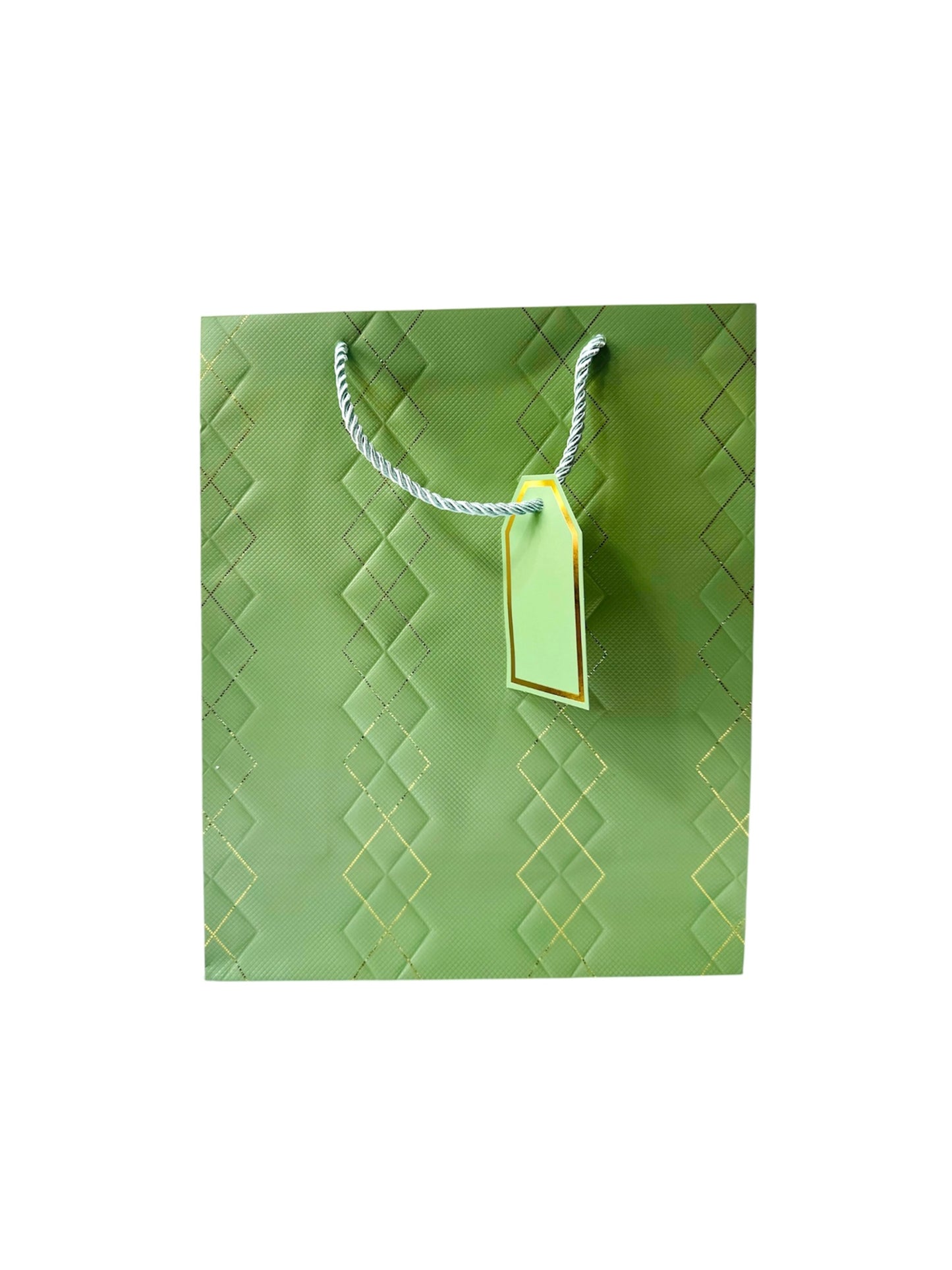 GREEN WITH GOLD LINE GIFT BAG