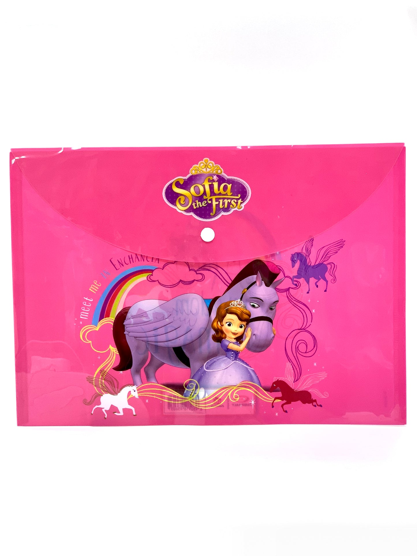 PLASTIC FILE ENVELOPE FLOWER DESIGN COVER