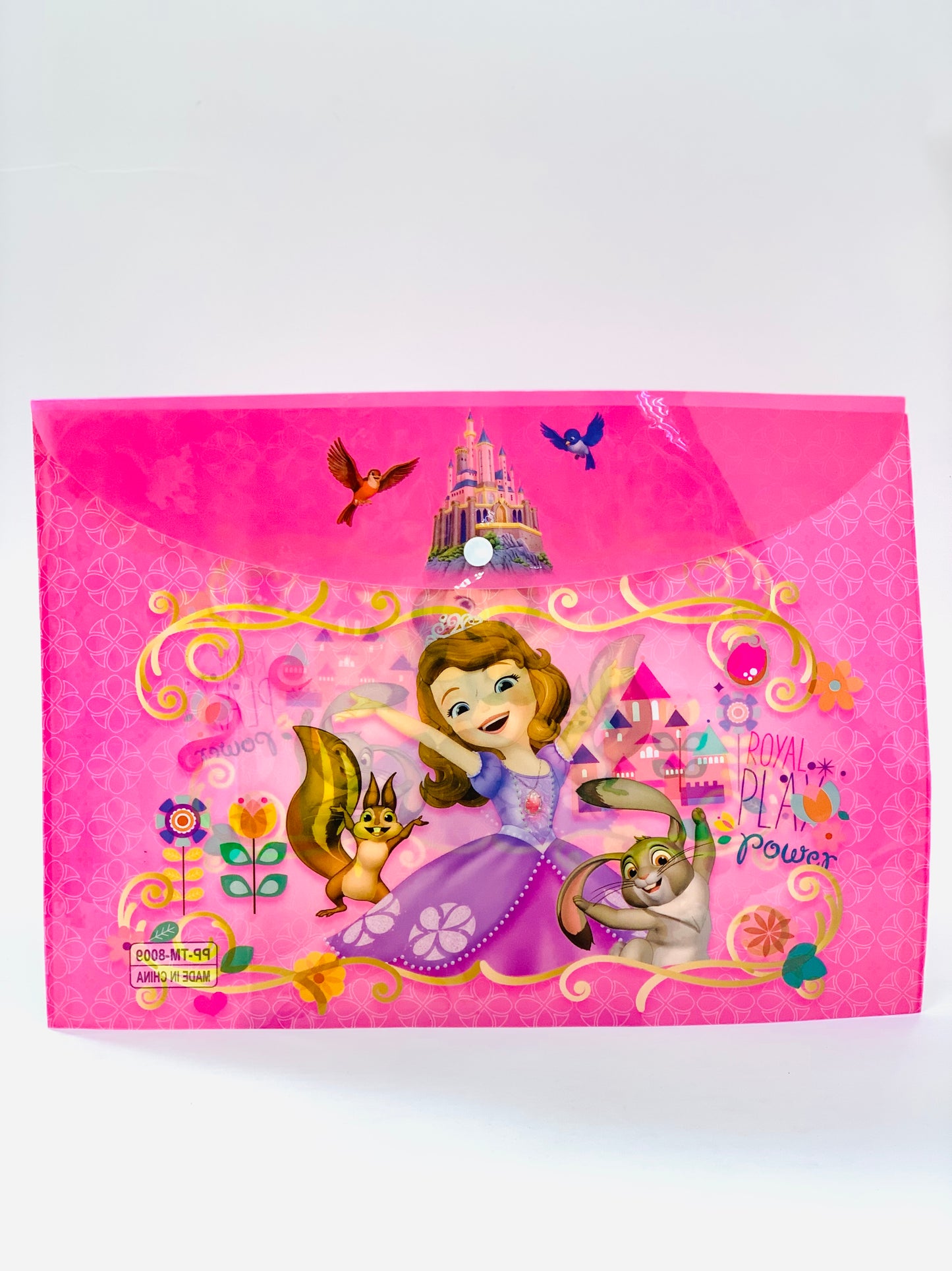 PLASTIC FILE ENVELOPE CARTOON DESIGN COVER