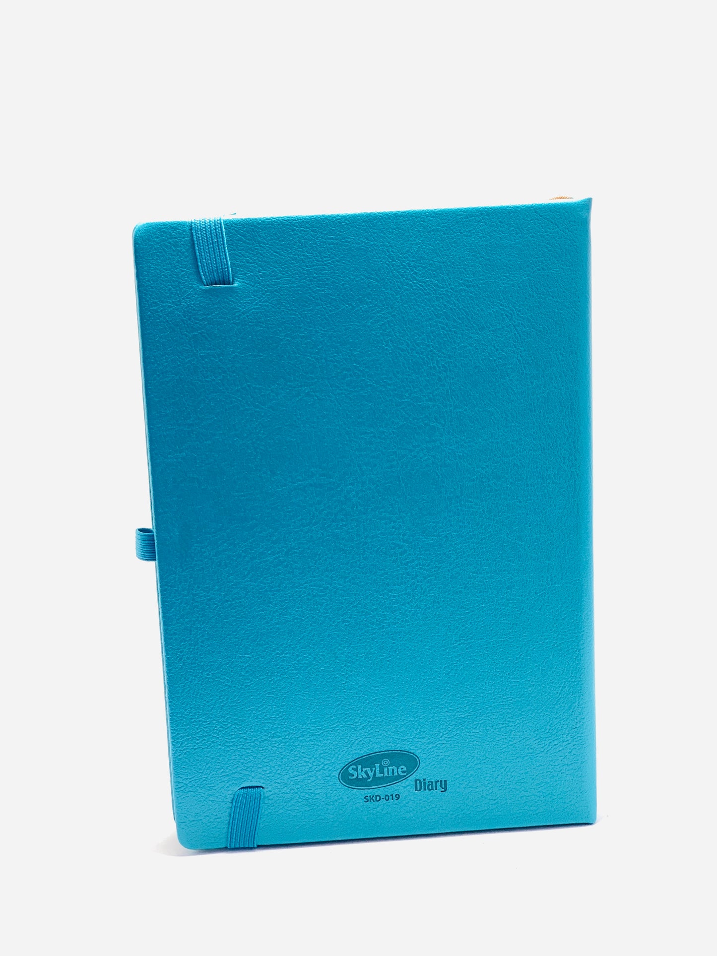 SKYLINE NOTEBOOK WITH BELT