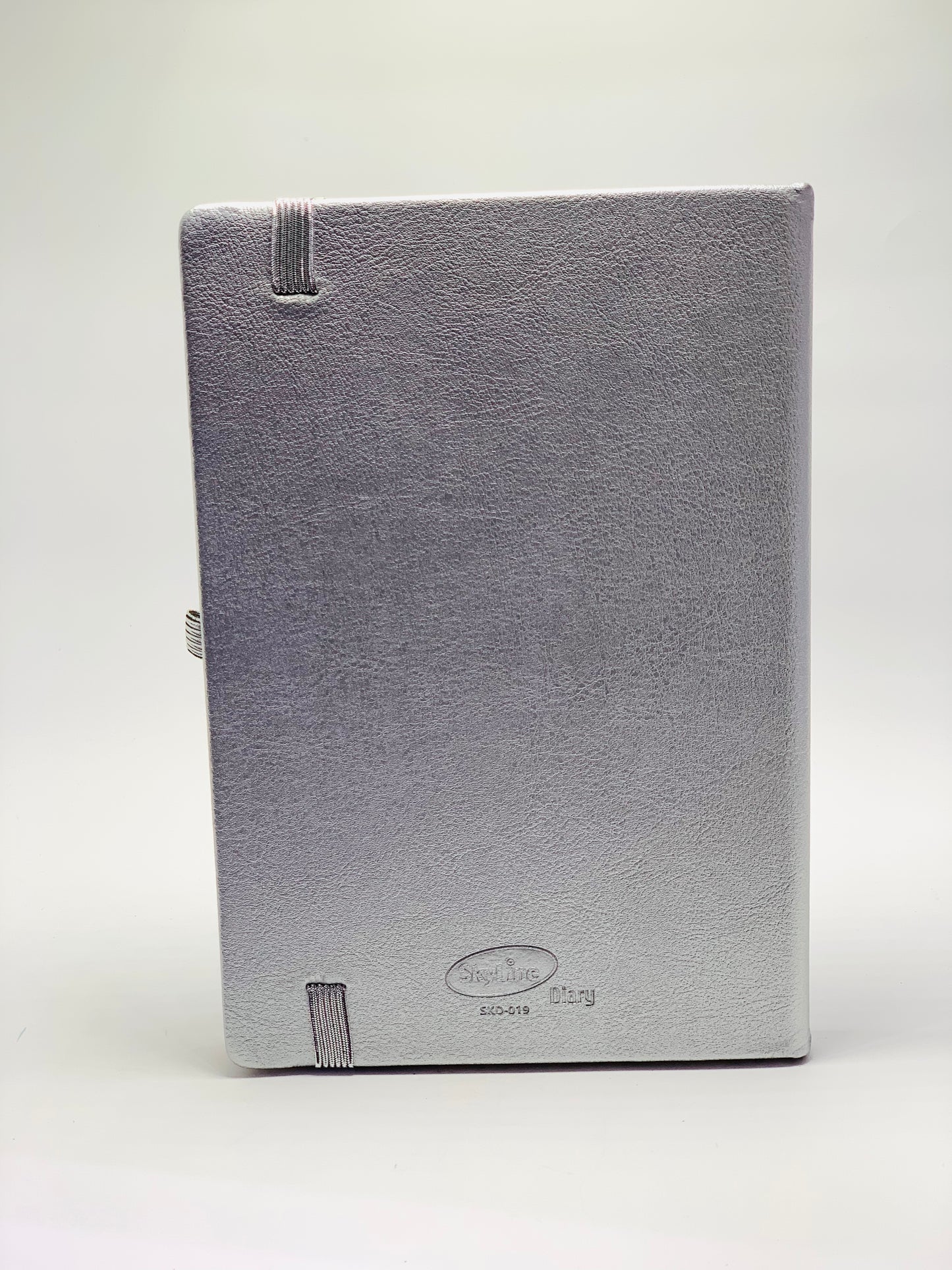 SKYLINE NOTEBOOK WITH BELT SILVER