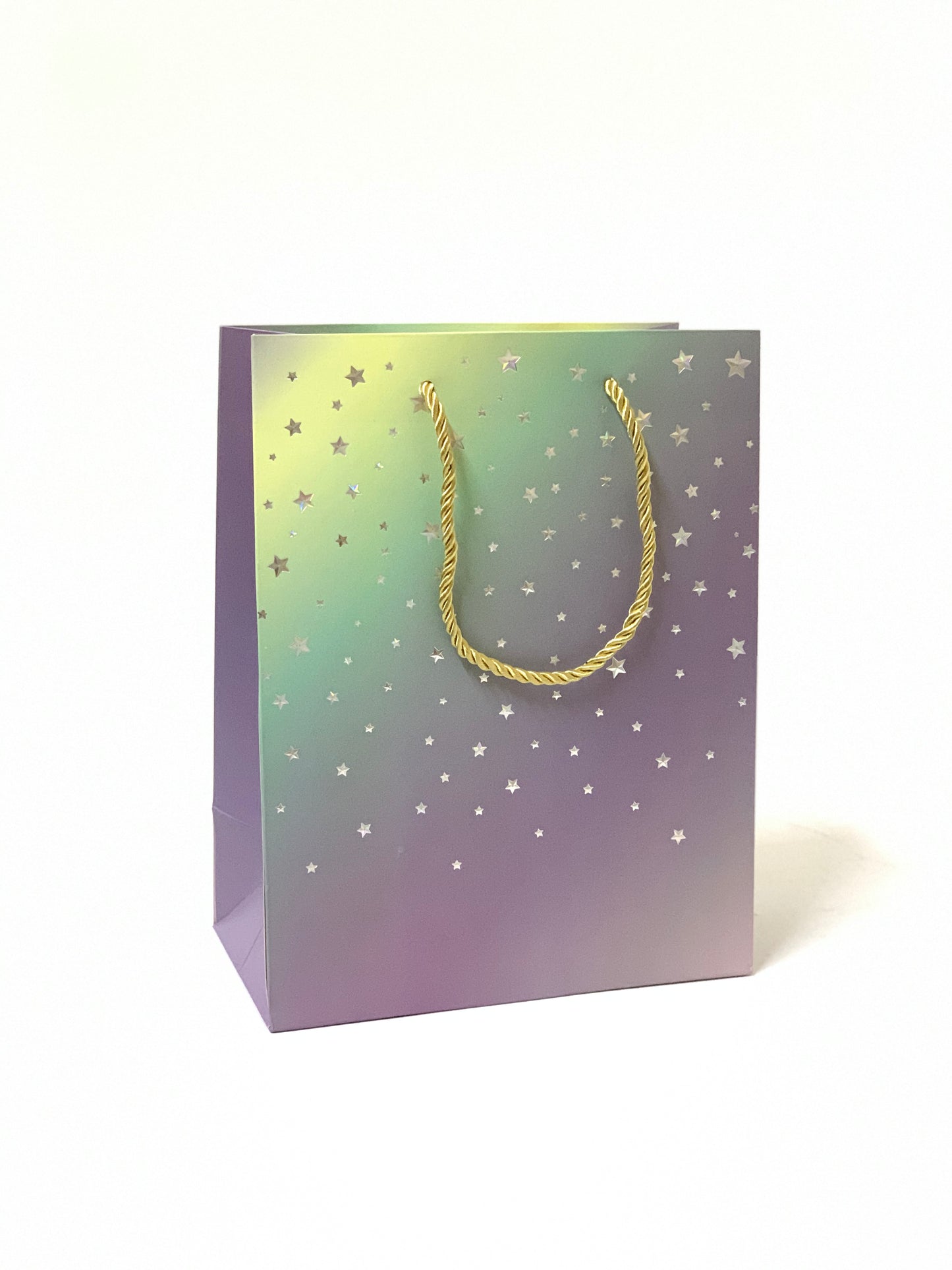 PAPER DESIGN GIFT BAG