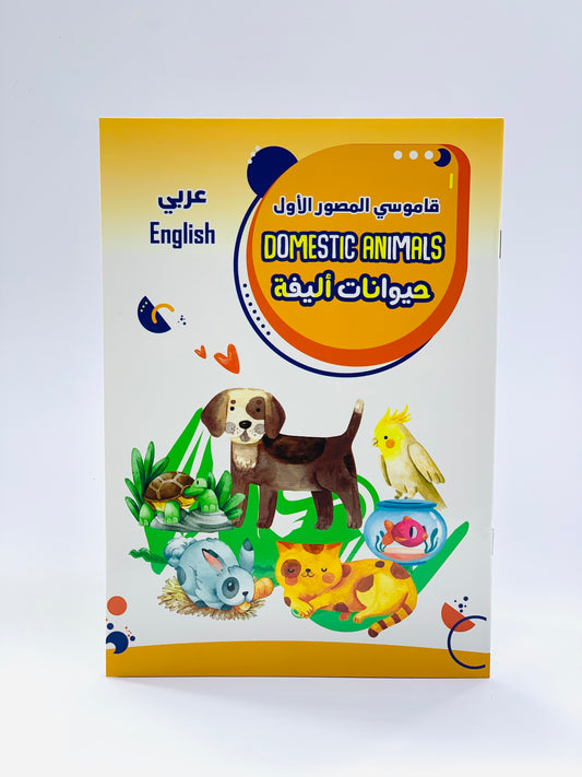 ARABIC AND ENGLISH LEARNING BOOK