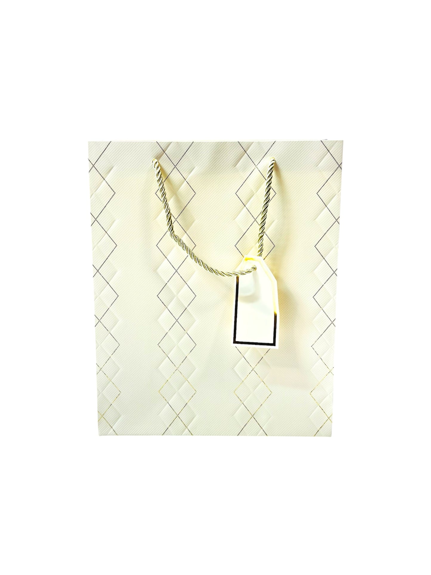 WHITE WITH GOLD LINE GIFT BAG
