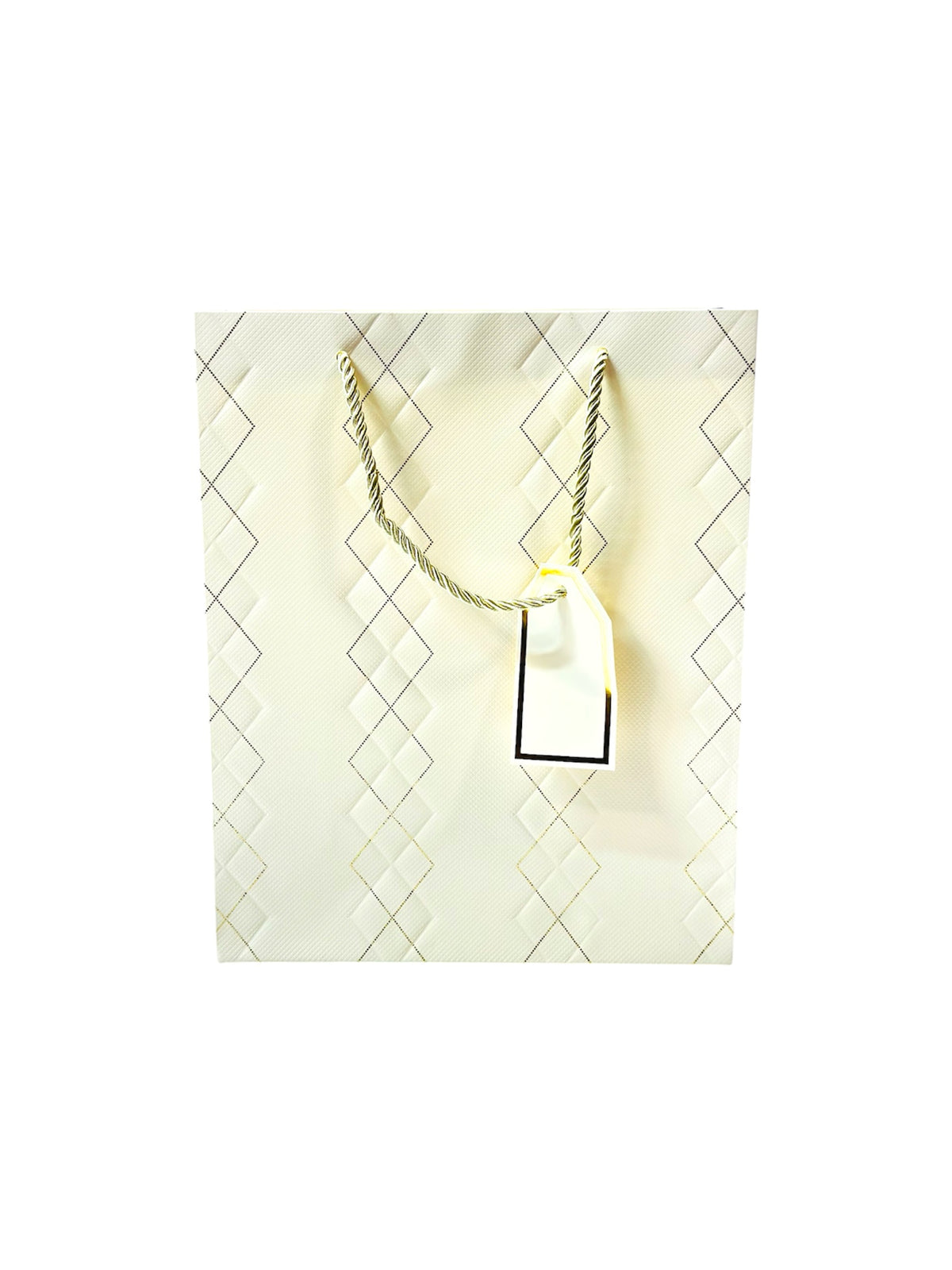 WHITE WITH GOLD LINE GIFT BAG