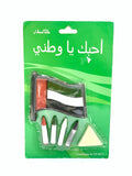رسم وجه علم الإمارات العربية المتحدة