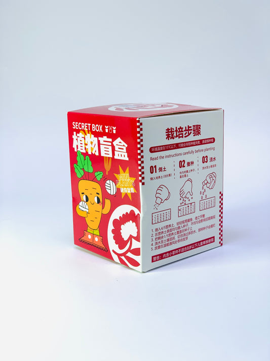 SECRET BOX