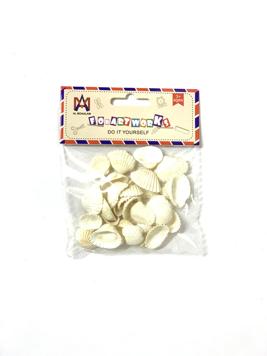 CRAFT BEACH SEASHELL