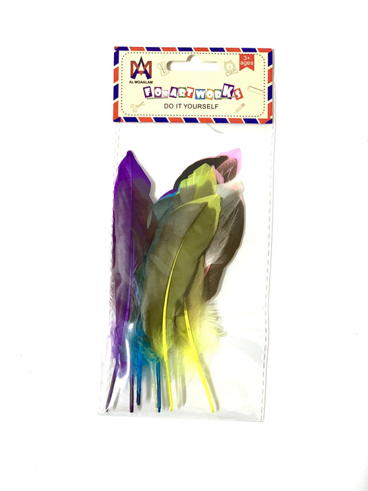 COLOURING FEATHER