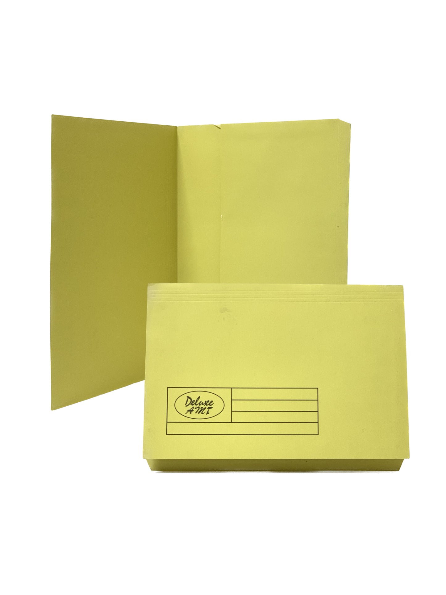 Deluxe AMT Document Wallet Folder