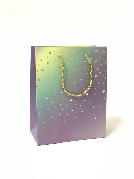 PAPER DESIGN GIFT BAG