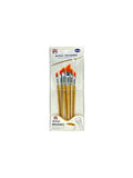 ARTIST PAINT BRUSH 6 SET